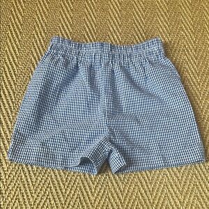 Gingham Seersucker Shorts